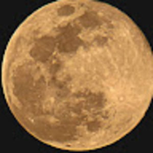 Meet your Posher, Allen